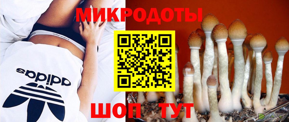 Каменка  Псилоцибиновые грибы GOLDEN TEACHER  Псилоцибиновые грибы Psilocybine cubensis  Вход с VPN 